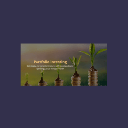 89 - Portfolio Investing - Ron Bertino Available