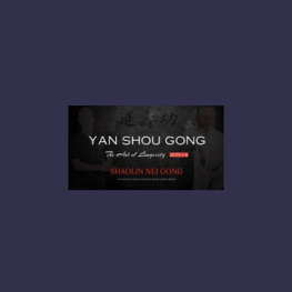 89 - The Art of Longevity (Sets 1-6) Program - Yan Shou Gong Available