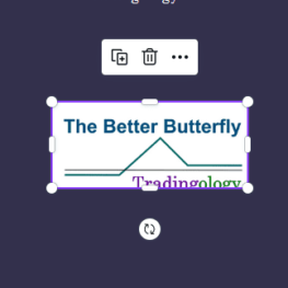 59 - The Better Butterfly Course - David Vallieres – Tradingology Available