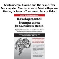 Sebern Fisher teaching applied neuroscience for trauma treatment