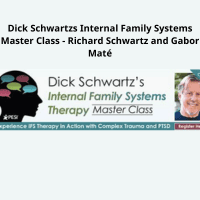 IFS Master Class with Schwartz and Maté