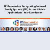 Frank Anderson teaching Internal Family Systems therapy