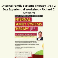 Richard Schwartz teaching Internal Family Systems Therapy in a 2-day workshop