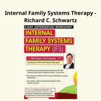 Richard C. Schwartz teaching Internal Family Systems Therapy