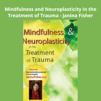 Dr. Janina Fisher teaching mindfulness-based trauma therapy
