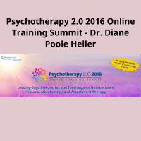 Dr. Diane Poole Heller's Psychotherapy 2.0 Summit