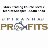 Adam Khoo's Market Snapper Course Level 2