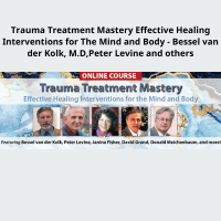 Integrated trauma therapy course with Bessel van der Kolk and Peter Levine