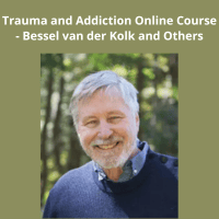 Dr. Bessel van der Kolk teaching trauma and addiction course online