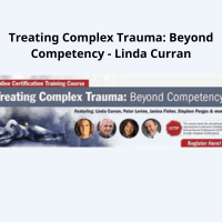 Linda Curran teaching complex trauma treatment strategie