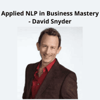 David Snyder's Applied NLP in Business Mastery Course
