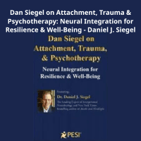 Dan Siegel Attachment Trauma Psychotherapy Course