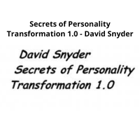 David Snyder's Personality Transformation Course